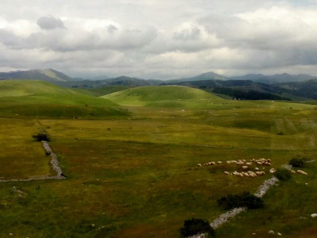 19420326_227949691057629_8016279977535086881_n